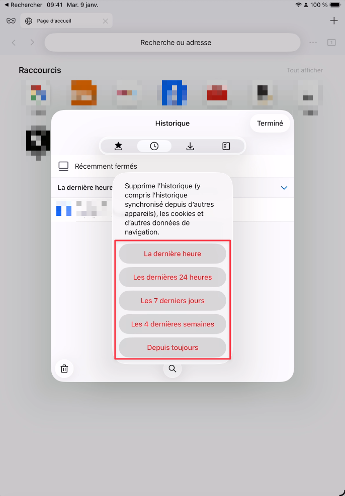 Menu de choix de la période à supprimer dans Firefox sur iPad