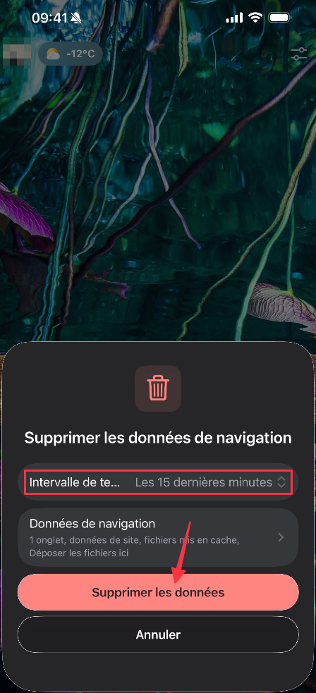 Fenêtre Supprimer les données de navigation dans Edge sur iPhone