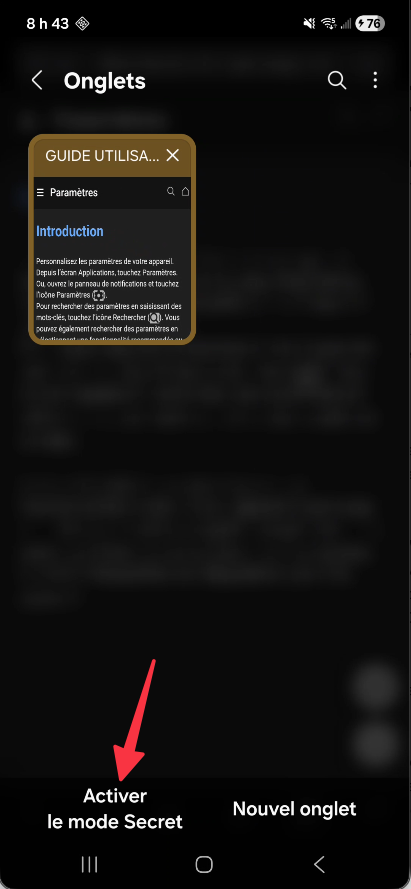 Bouton Activer le mode Secret dans Samsung Internet