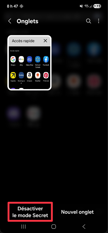Vue des onglets en mode Secret dans Samsung Internet