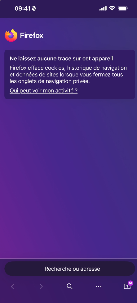 Page d'accueil d'un onglet privé dans Firefox