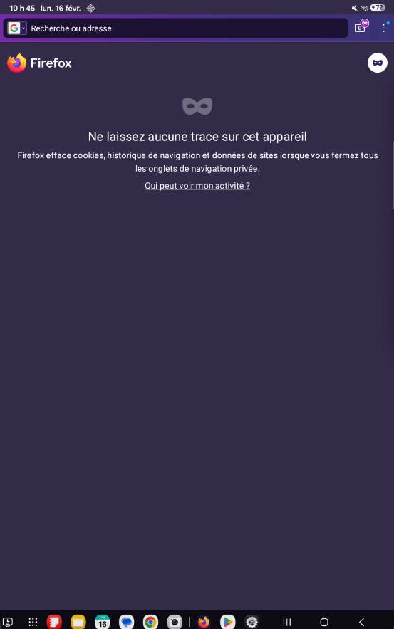 Page d'accueil d'un onglet privé dans Firefox
