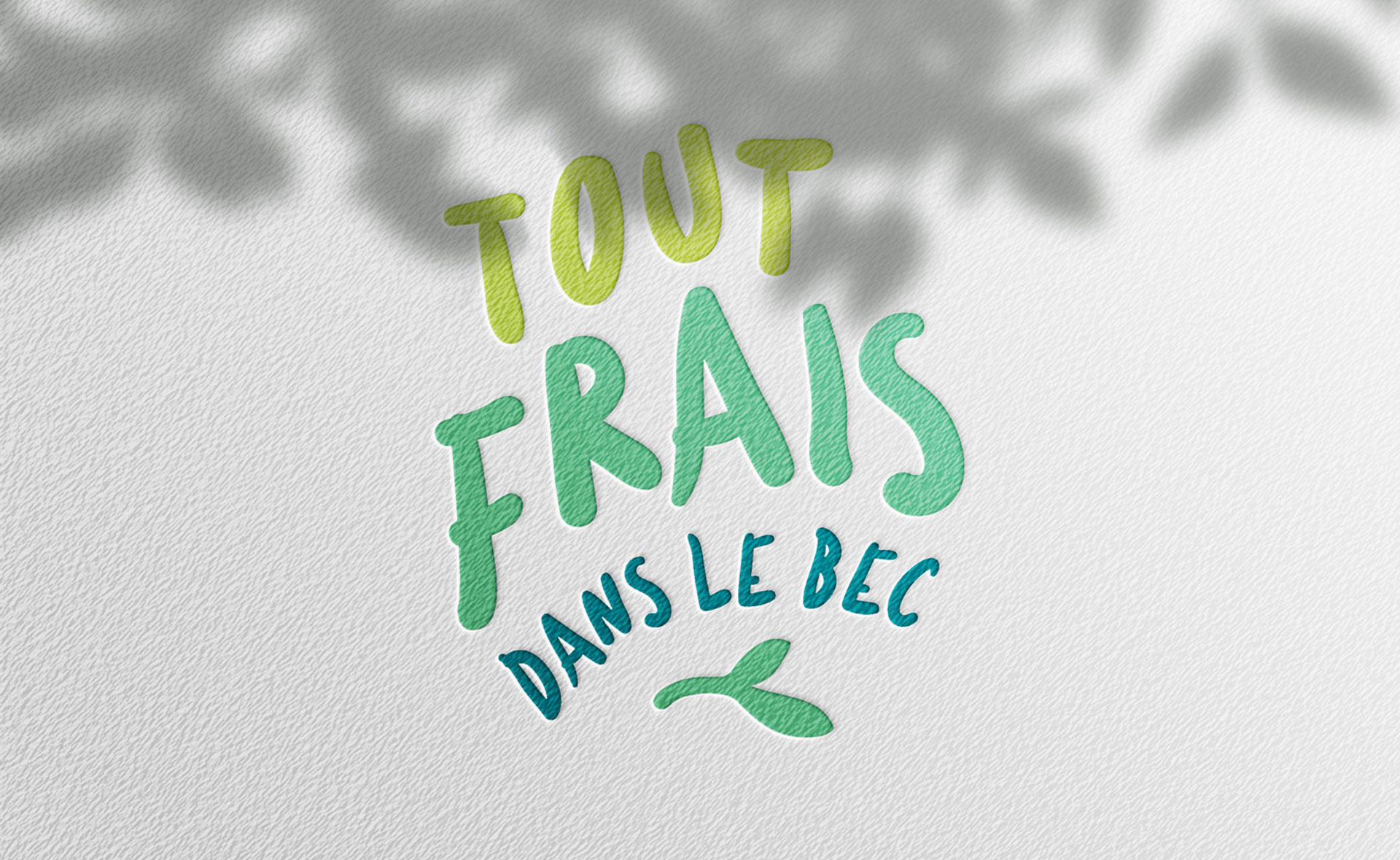 tout frais logo